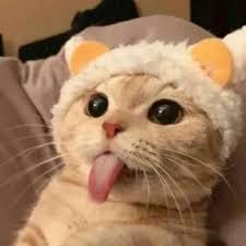 Jericho Rosales avatar